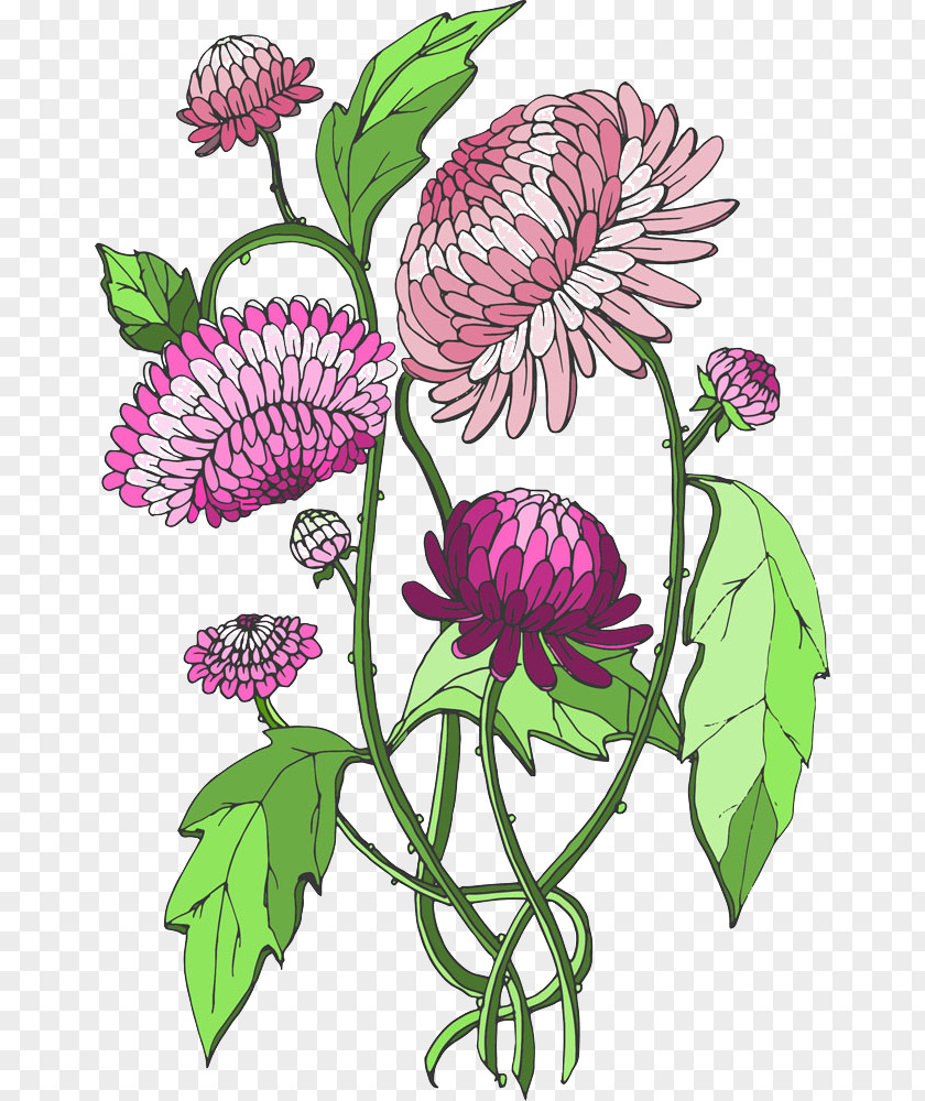 Creative Dandelion Flower Stock Illustration PNG