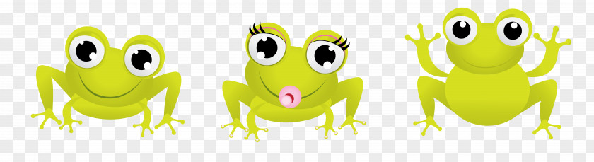 Frog Lithobates Clamitans Clip Art PNG