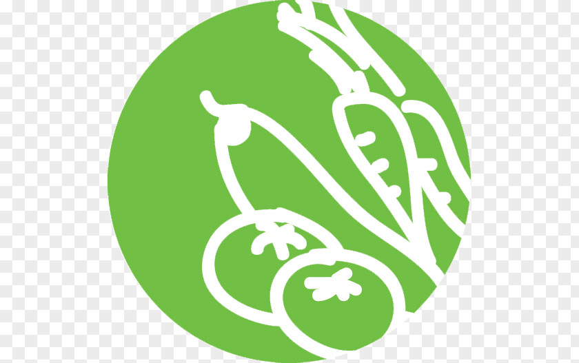 Leaf Line Logo Clip Art PNG