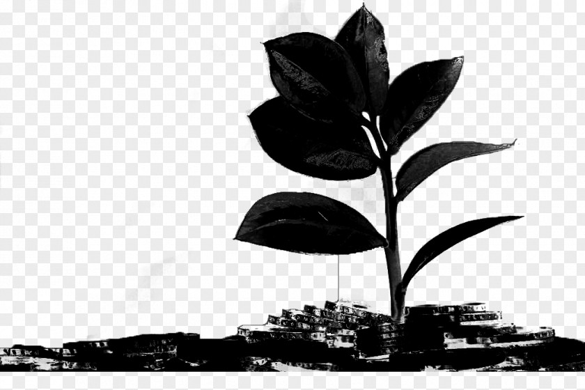 M Flower Leaf Black & White PNG