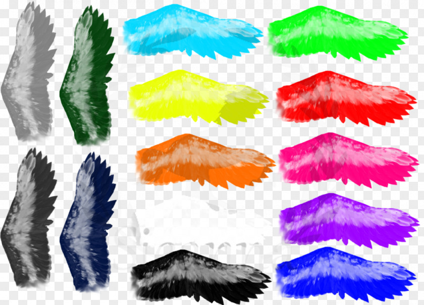 Bird Wings Feather Wing Animal DeviantArt PNG
