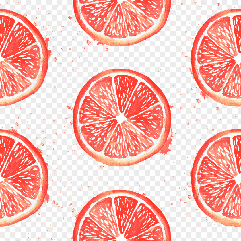 Copy Populated Painted Grapefruit Pomelo Blood Orange PNG
