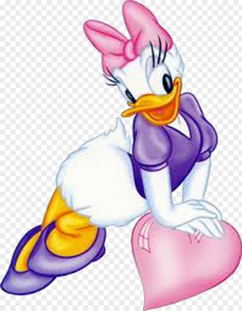 DUCK Daisy Duck Donald Minnie Mouse Mickey The Walt Disney Company PNG