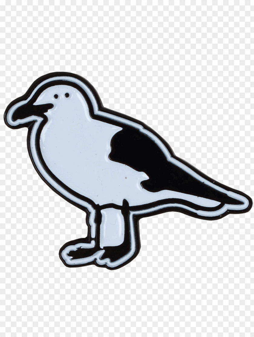 Gull Duck Water Bird Goose Cygnini PNG