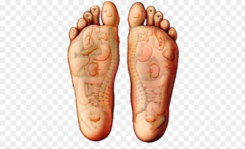 Health Reflexology Massage Foot Therapy Acupuncture PNG