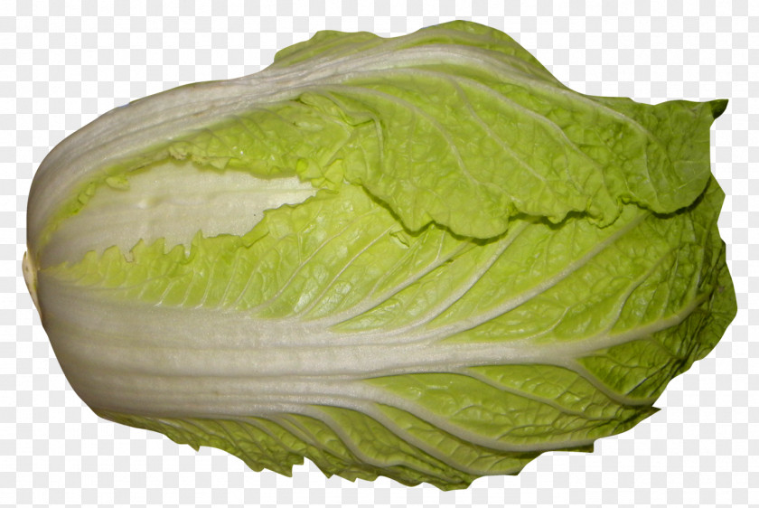 Napa Cabbage Red Romaine Lettuce PNG