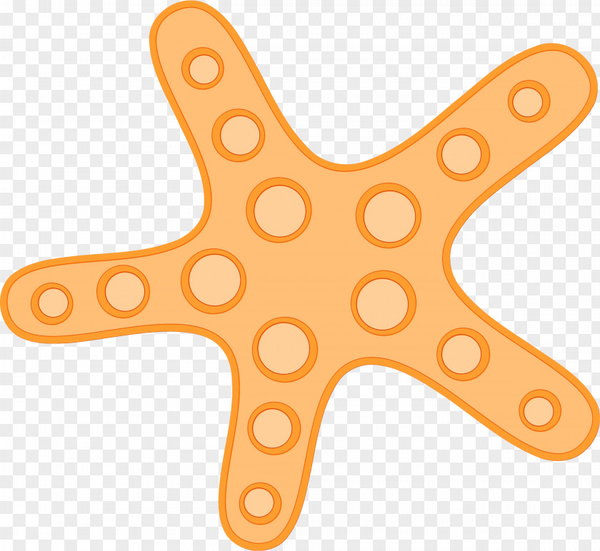 Orange Echinoderm Watercolor Cartoon PNG