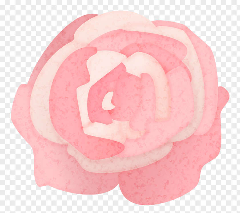 Pink Roses Rose Rosxe9 Flower PNG