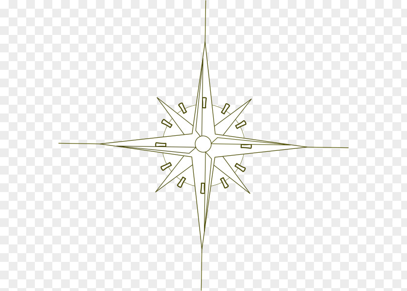 Sepia Line Symmetry Angle Tree Star PNG