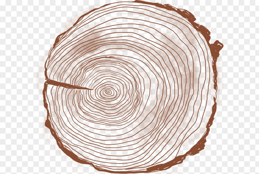 Tree Ring Circle PNG