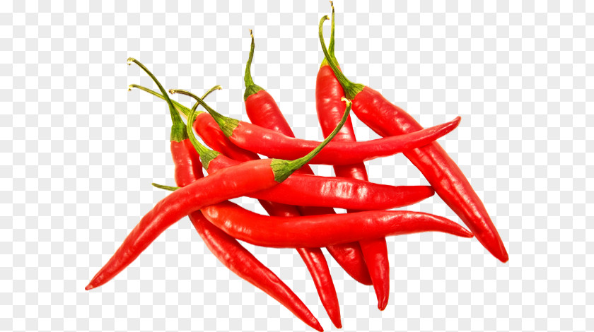 Chile Pepper Bell Chili Clip Art PNG