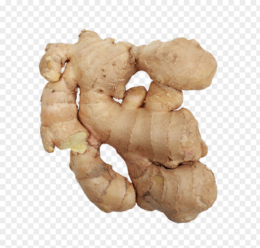 Ginger Root Vegetables Clip Art PNG