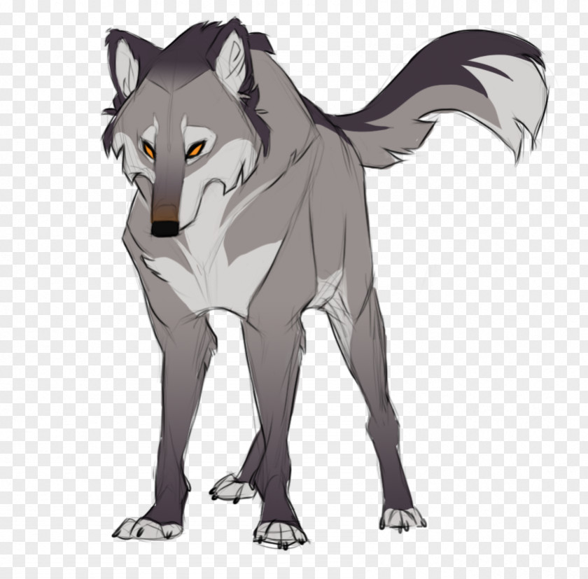 Gray Wolf Drawing Cartoon Sketch PNG