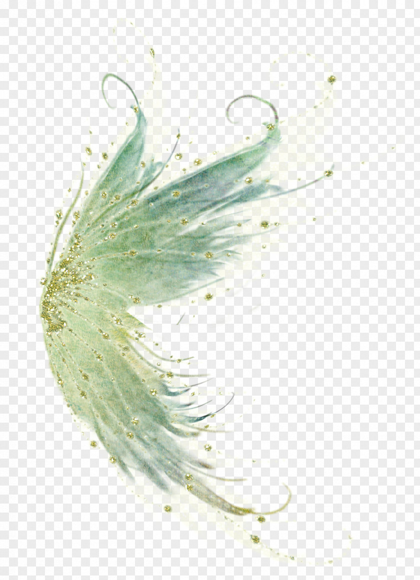 Mist Bird Fairy Wing Clip Art PNG
