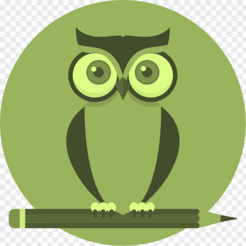 Owl Clip Art Vector Graphics PNG