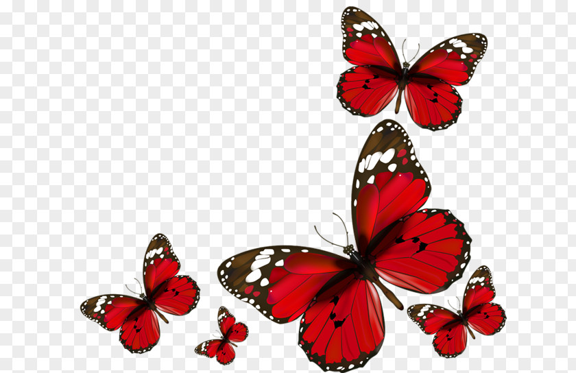 Red Butterfly Wedding Invitation Clip Art PNG