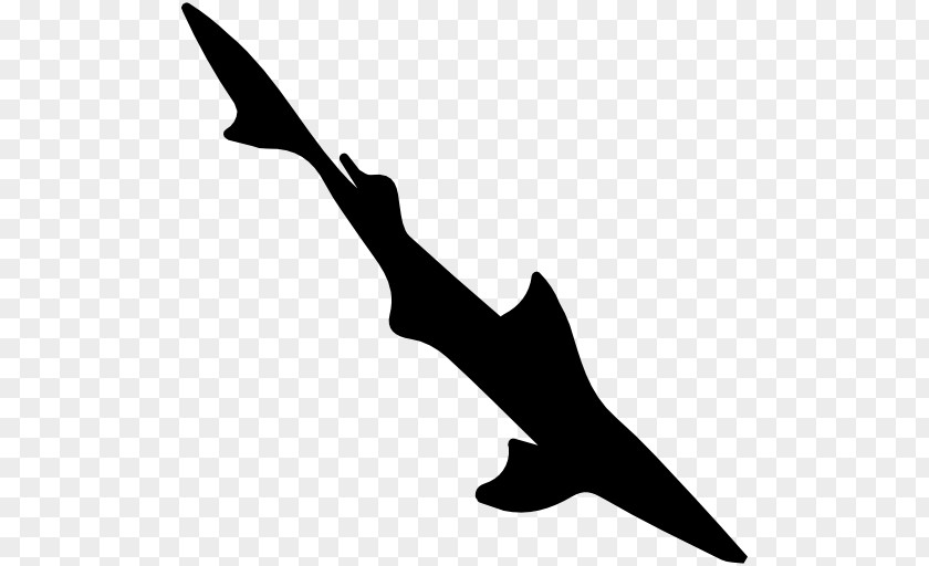 Shark Spiny Dogfish Clip Art PNG