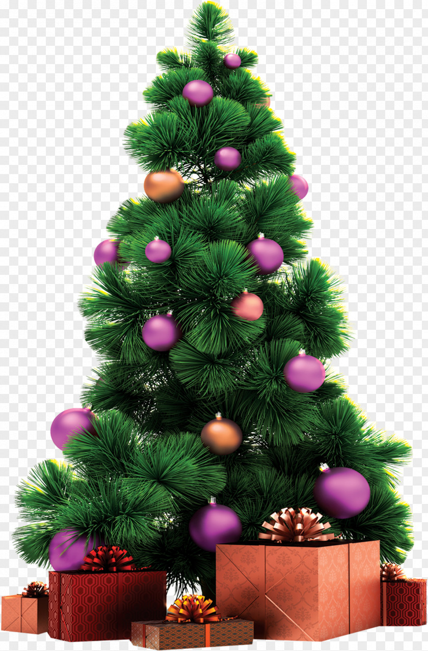Strawberry Tree Christmas New Year PNG