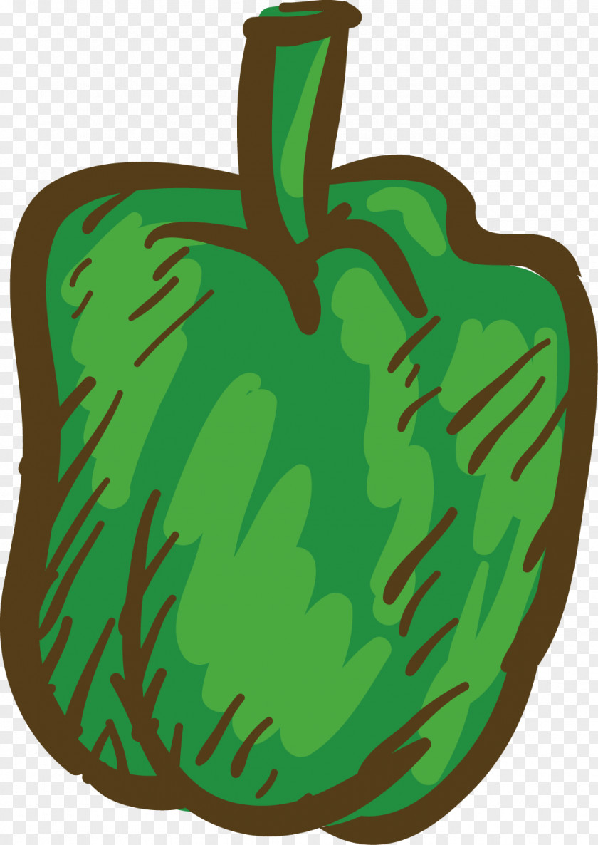 The Bell Pepper Green Chili Black PNG