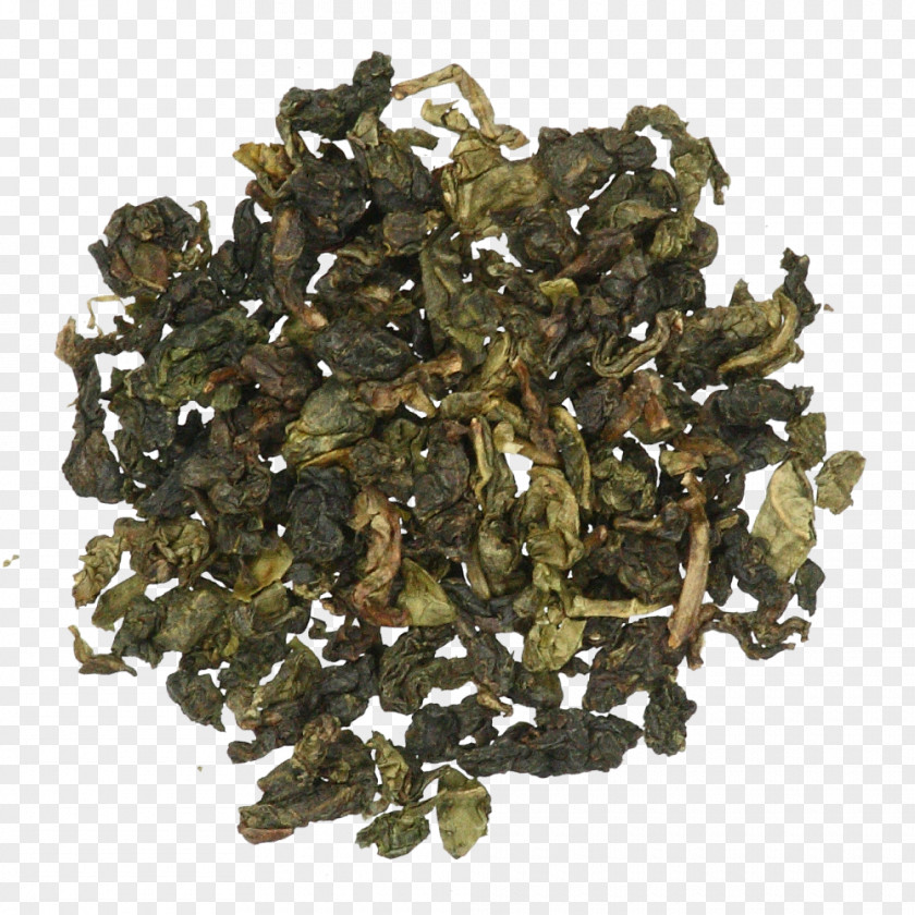 Green Tea Biluochun Nilgiri Oolong Gunpowder PNG