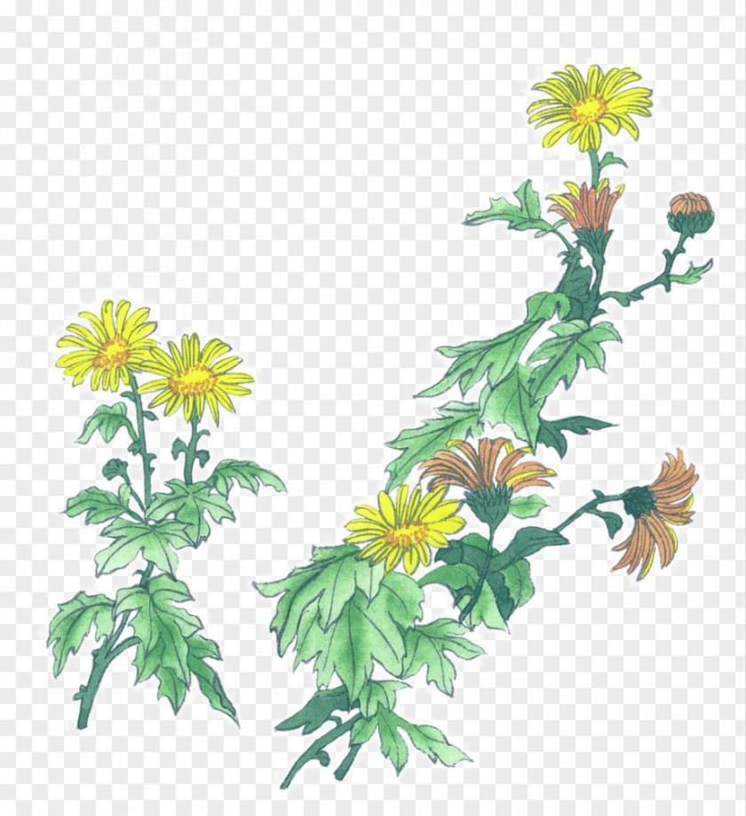 Realism Chrysanthemum Chinese Painting Ink Wash Gongbi Inkstick PNG