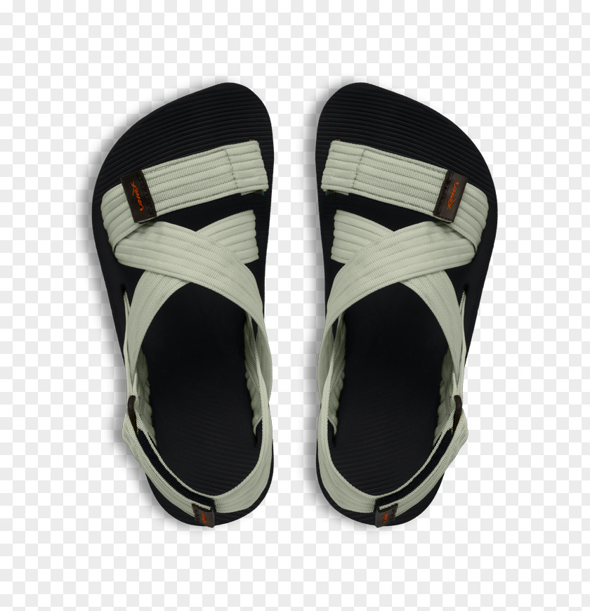 Sandal Flip-flops Papete Shoe PNG