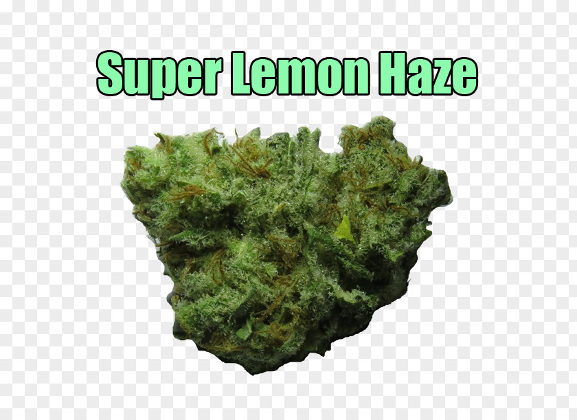 Skunk Haze Cannabis Sativa Flavor PNG