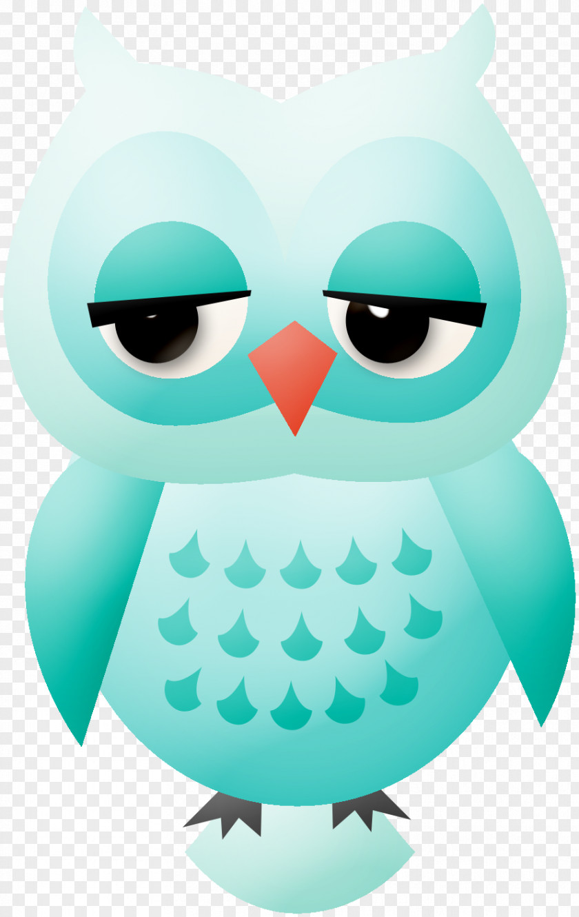 Baby Breath Little Owl Drawing Clip Art PNG