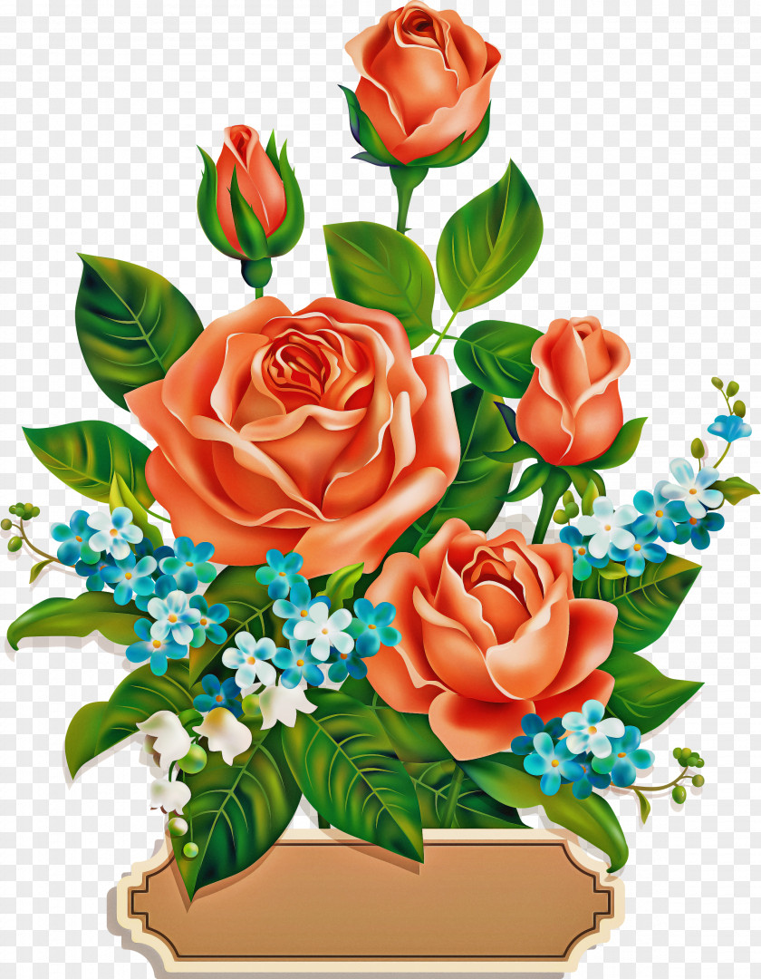 Rose Order Plant Garden Roses PNG