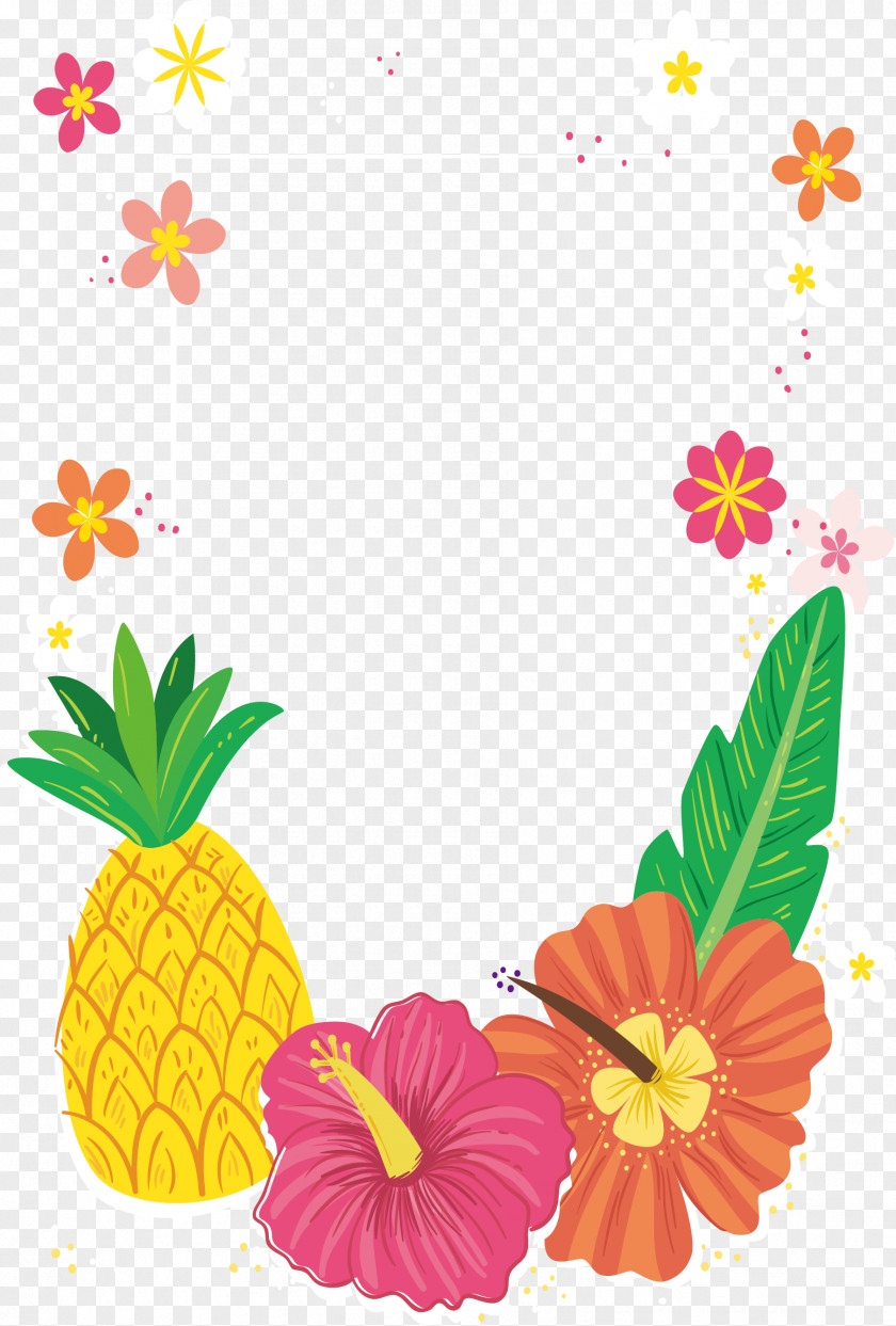 Tropical Colored Flower Decorative Frame PNG