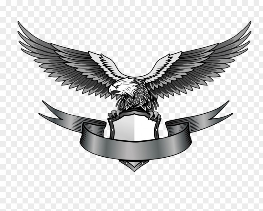 Eagle Logo Image, Free Download PNG