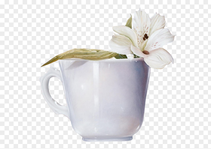 Flower Cup Tea Coffee PNG