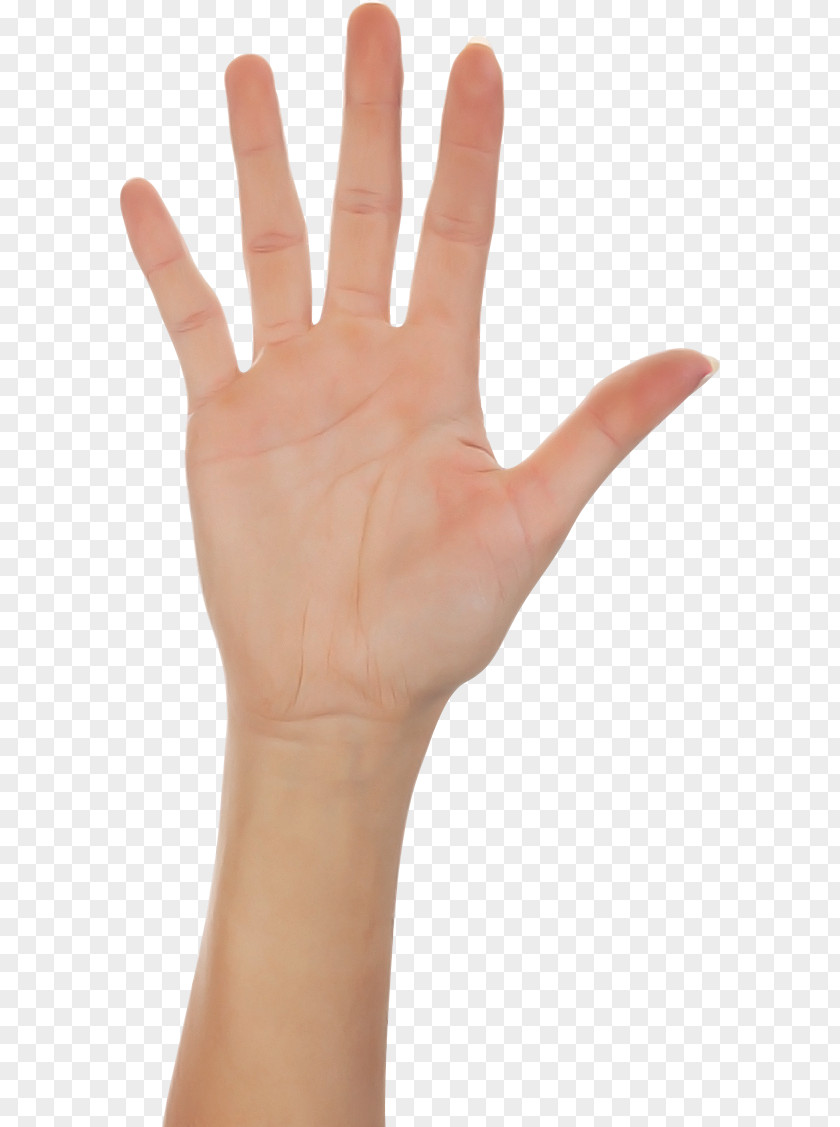 Nail Sign Language Finger Hand Skin Wrist Gesture PNG