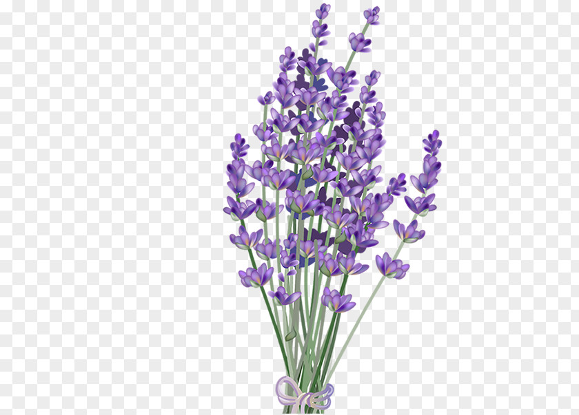 Flower Lavender Clip Art PNG