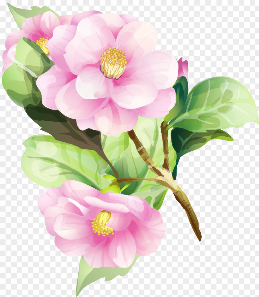 Flower Watercolor Painting Floral Design Art PNG