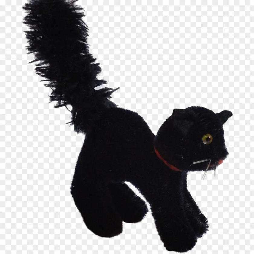 Cat Black Domestic Short-haired Whiskers Fur PNG