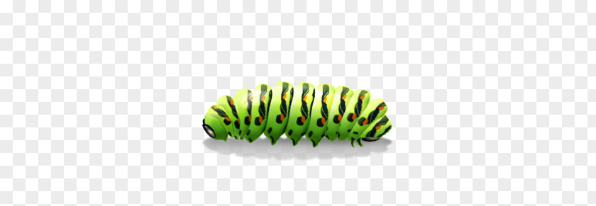 Caterpillar PNG clipart PNG