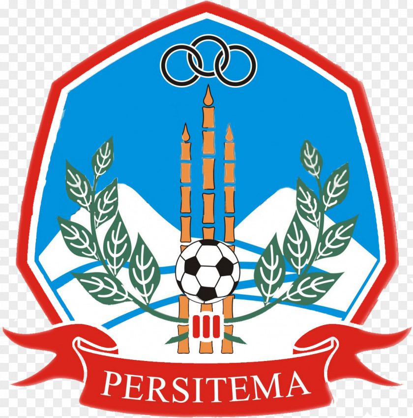 Football Persitema Temanggung Bhumi Phala Stadium Persita Tangerang Persipur Purwodadi Liga 4 PNG