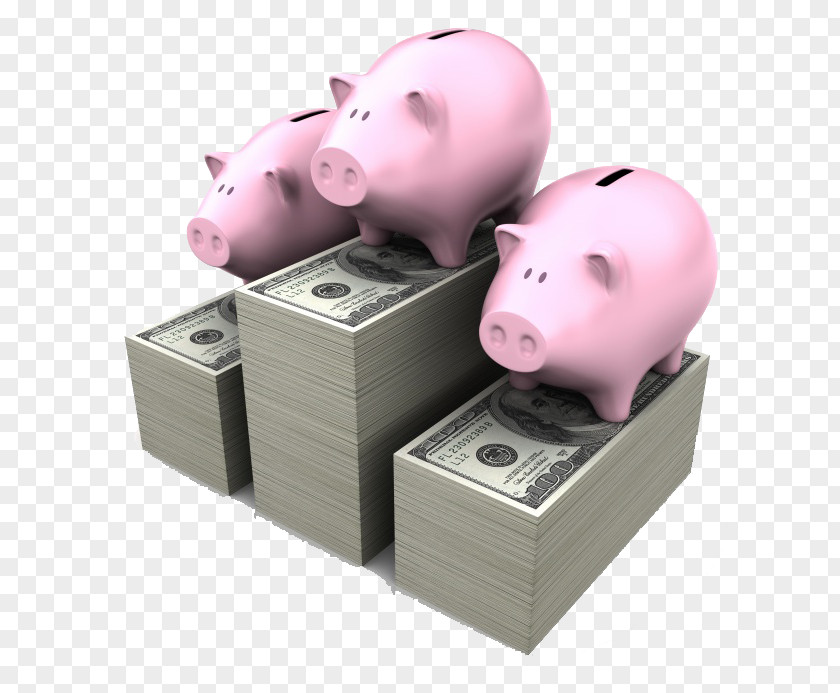 Piggy Bank And Cash Domestic Pig Money Deposit Account Illustration PNG
