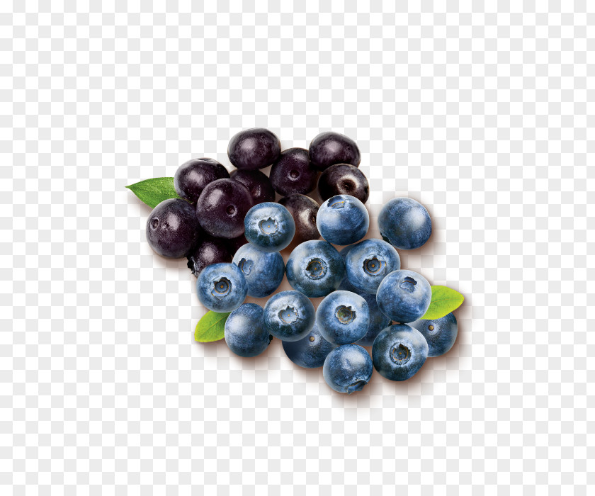 Seedless Fruit Chokeberry Grape Cartoon PNG