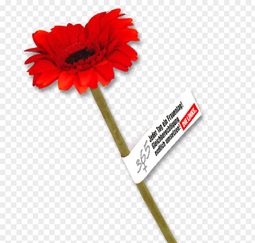 Banderole Social Equality Society Paper Transvaal Daisy The Left PNG