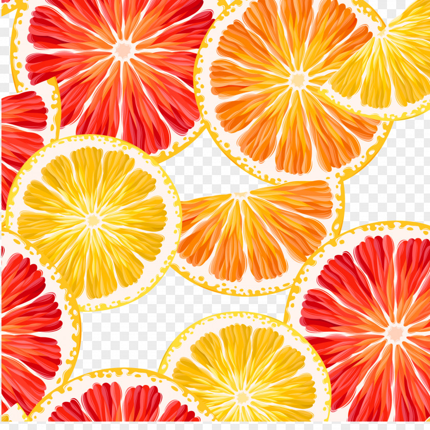 Lemon And Grapefruit Sliced ​​vector Orange PNG