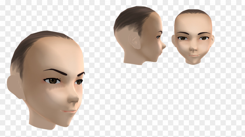 Nose Eyebrow Product Design Mannequin Cheek Chin PNG