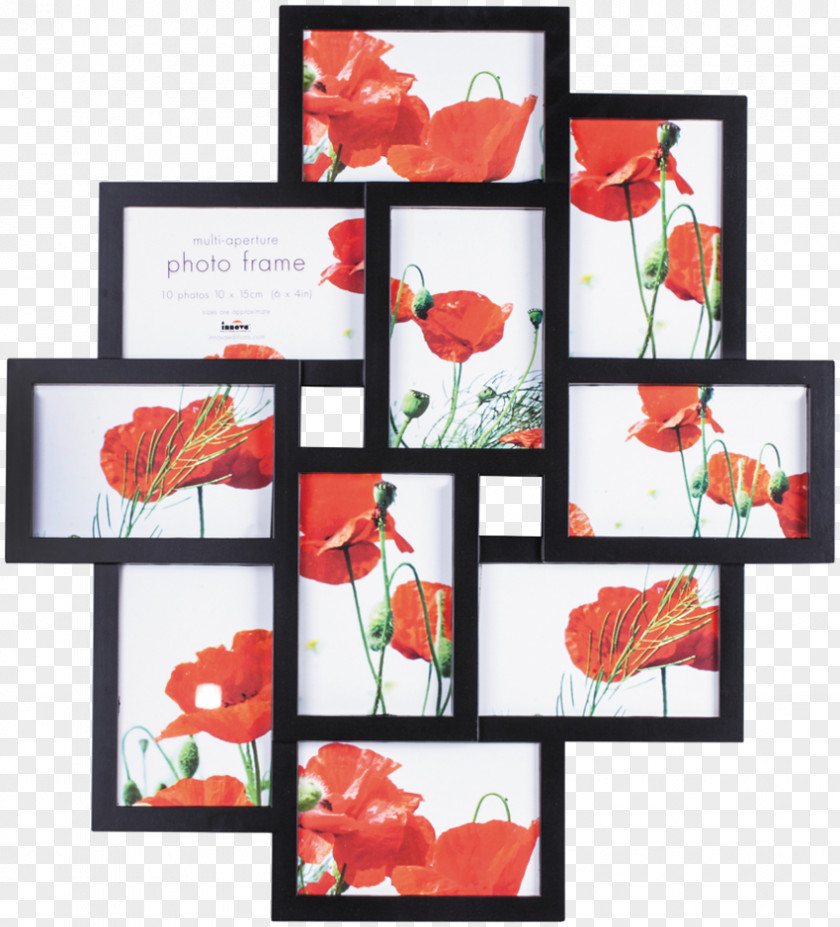 Picture Frames Photography Plastic PNG