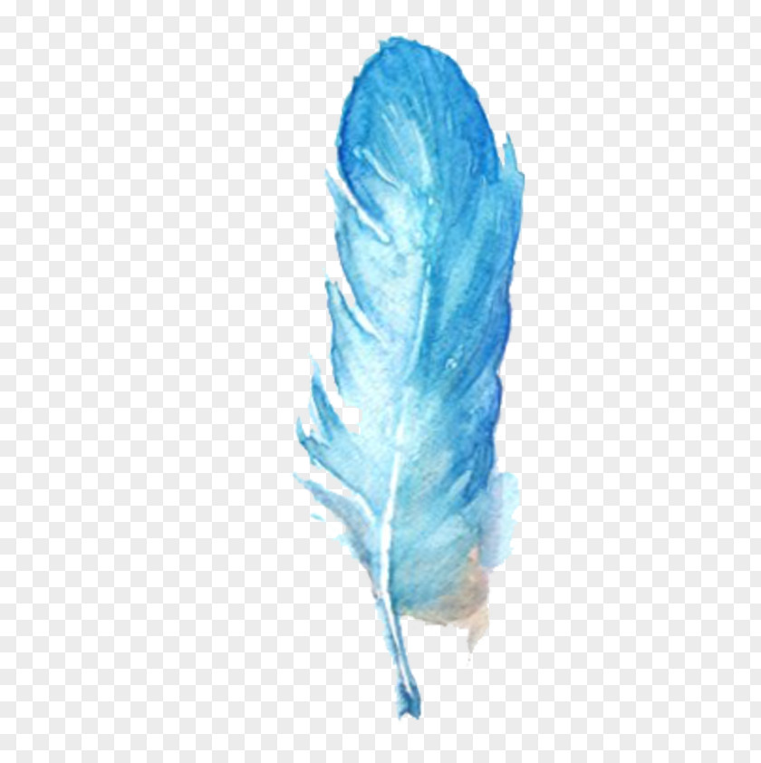 Blue Feather PNG