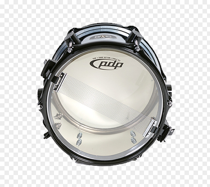 Drums Tamborim Snare Tom-Toms Drumhead Bass PNG