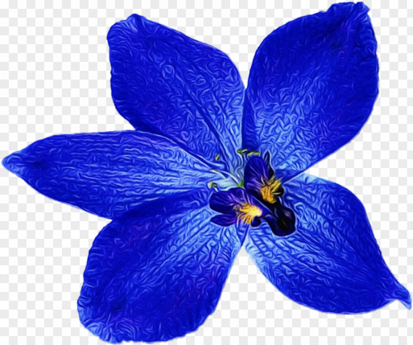 Gentiana Iris Flowering Plant Blue Flower Petal PNG