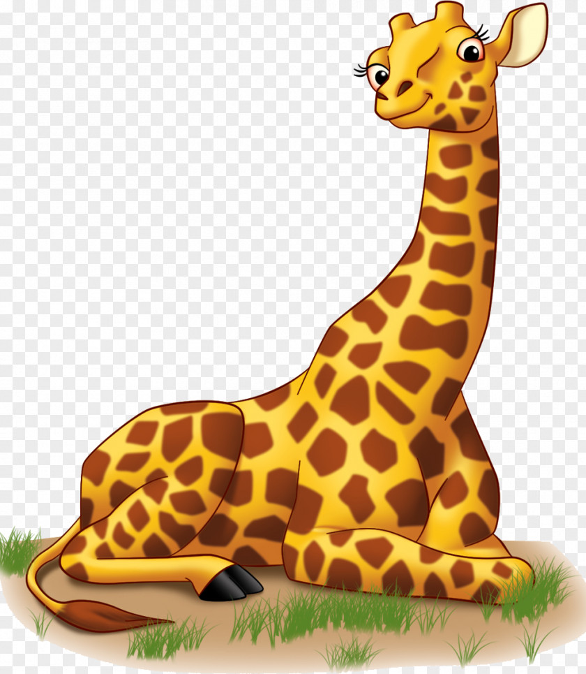 Geo Banner Clip Art Image Northern Giraffe Vector Graphics PNG