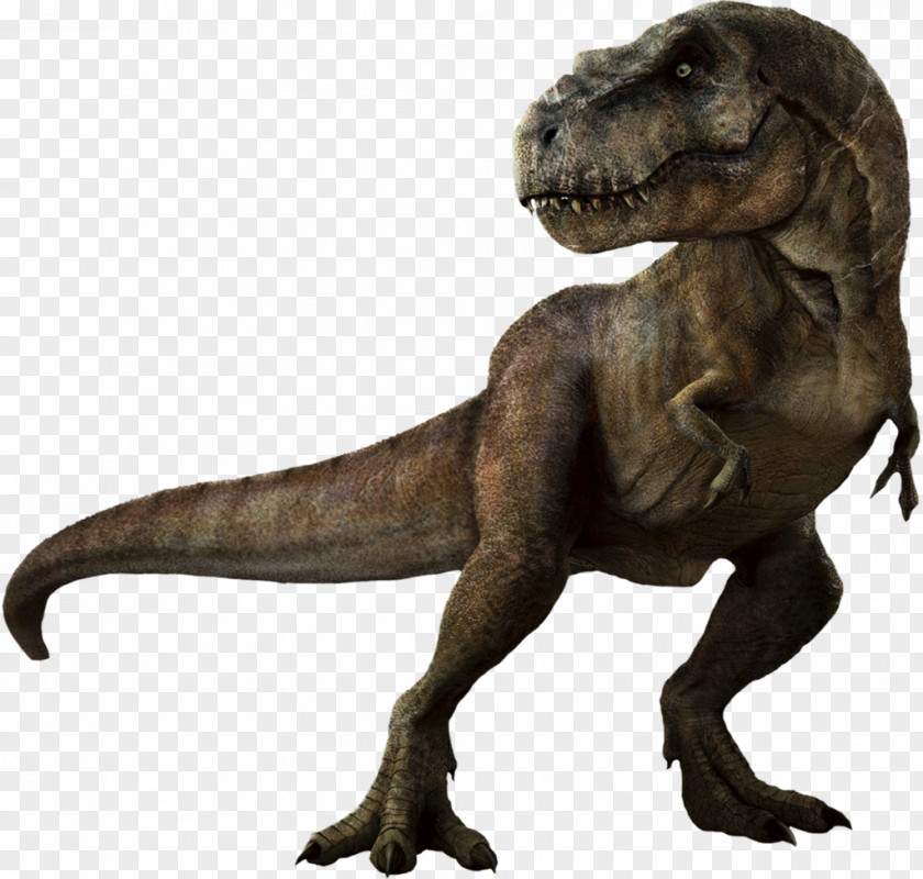 Jurassic Park HD Tyrannosaurus Rex Dinosaur Velociraptor Triceratops PNG