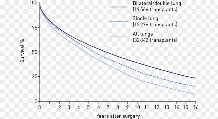 Lungs Surgery Document Line Angle PNG